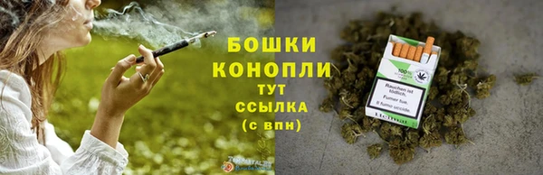 бошки Краснослободск