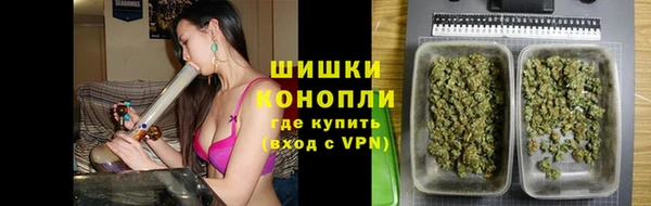стафф Верхний Тагил