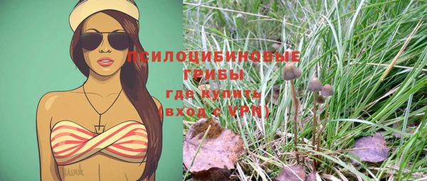 стафф Верхний Тагил