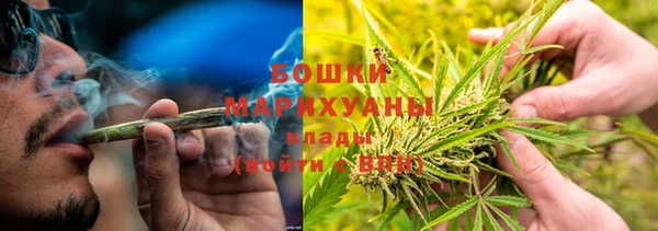 стафф Верхний Тагил