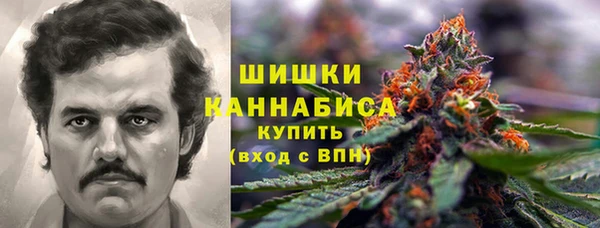стафф Верхний Тагил