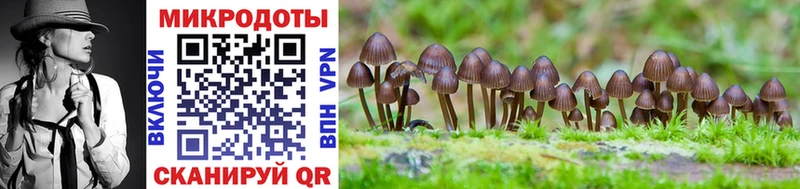 Галлюциногенные грибы прущие грибы  Когалым 